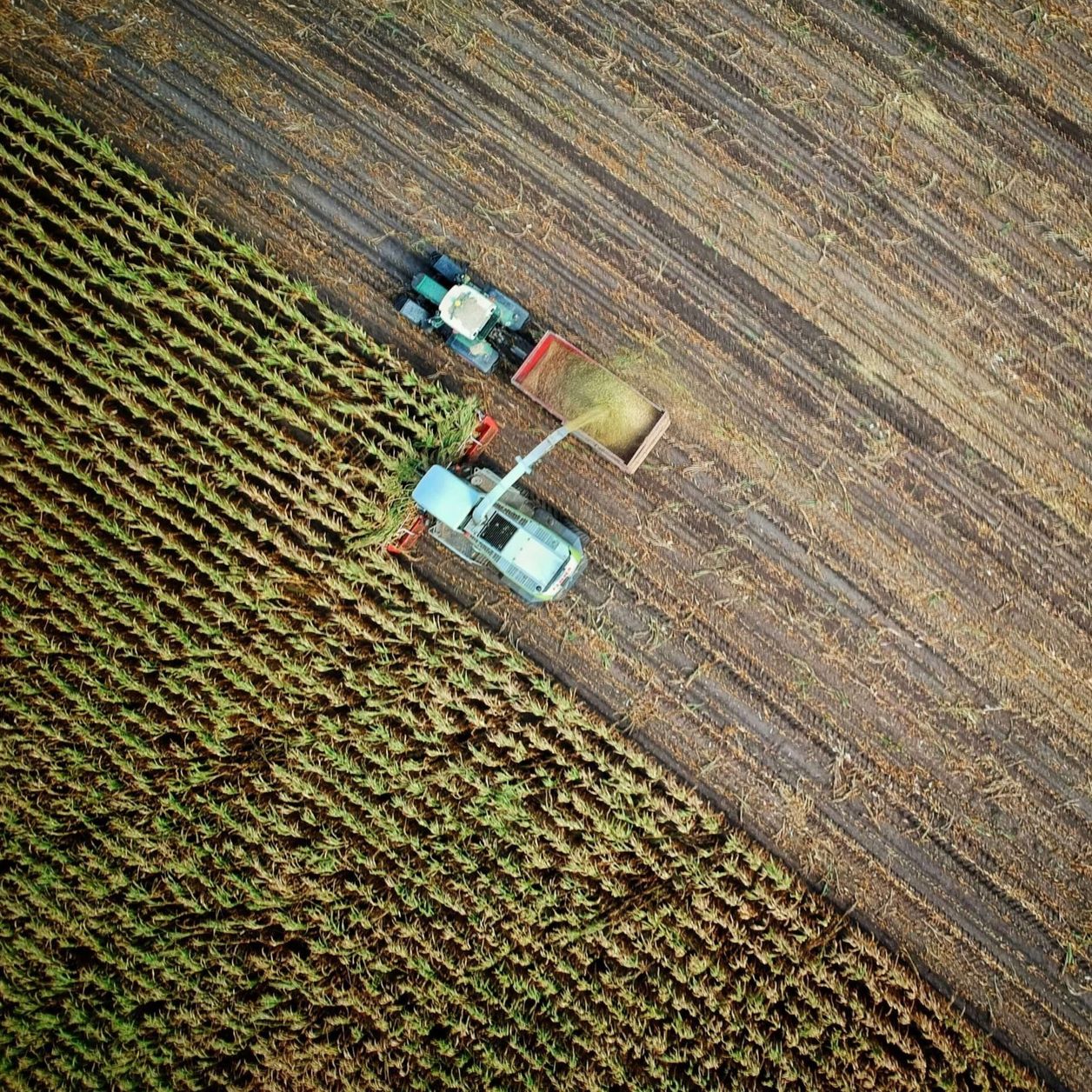 Drohnenaufnahme eines Traktors bei der Feldarbeit auf einem landwirtschaftlichen Feld